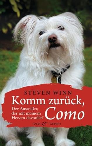 Beispielbild fr Komm zurck, Como. Der Ausreisser, der mit meinem Herzen davonlief zum Verkauf von Sigrun Wuertele buchgenie_de