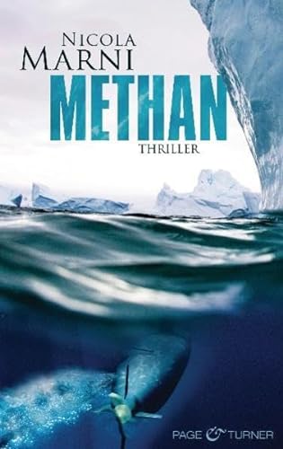 Stock image for METHAN: Thriller for sale by medimops