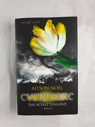 Beispielbild fr Evermore 3 - Das Schattenland: Roman Noël, Alyson and Bezzenberger, Marie-Luise zum Verkauf von tomsshop.eu