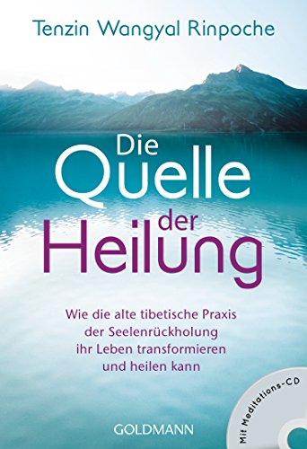 Stock image for Die Quelle der Heilung -Language: german for sale by GreatBookPrices
