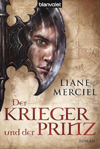 Stock image for Der Krieger und der Prinz: Roman for sale by Gabis Bcherlager