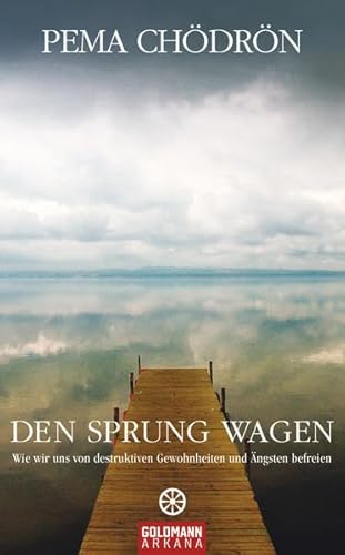 Den Sprung wagen Wie wir uns von destruktiven Gewohnheiten und Ängsten befreien - Chödrön, Pema und Margarethe Randow-Tesch