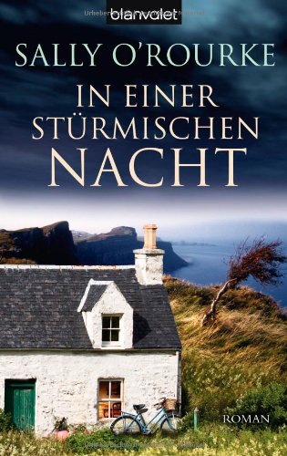 Stock image for In einer strmischen Nacht: Roman for sale by Gerald Wollermann
