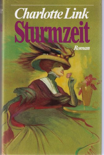 Stock image for Sturmzeit: Roman for sale by Better World Books