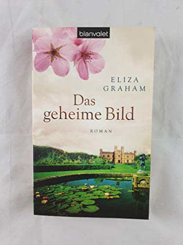 Das geheime Bild. Roman. TB - Eliza Graham