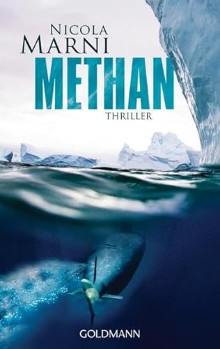 Stock image for Methan: Thriller for sale by medimops