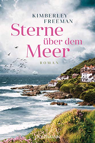 Stock image for Sterne ber dem Meer: Roman for sale by medimops