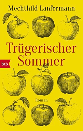 Stock image for Trgerischer Sommer: Roman for sale by medimops