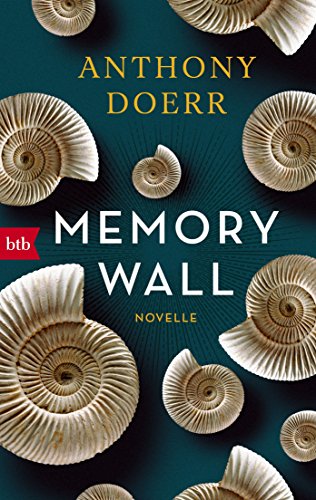 Stock image for Memory Wall: Novelle for sale by AwesomeBooks