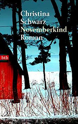 Stock image for Novemberkind: Roman for sale by Gabis Bcherlager