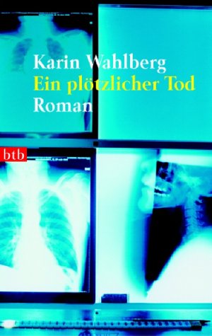 Beispielbild fr Ein pltzlicher Tod: Roman zum Verkauf von DER COMICWURM - Ralf Heinig