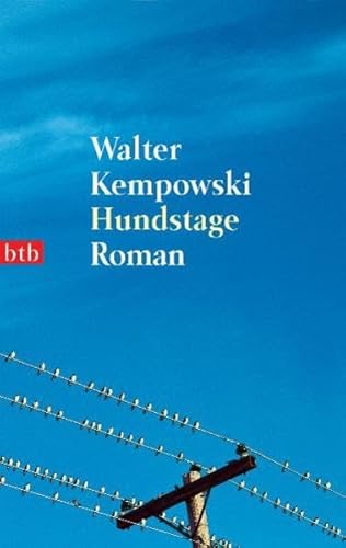 Beispielbild fr Hundstage: Roman zum Verkauf von medimops