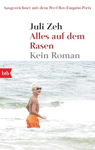 Stock image for Alles auf dem Rasen. Kein Roman. mit Nachweisen. - (=btb 73623). for sale by BOUQUINIST