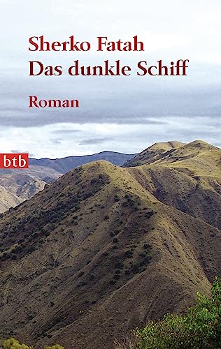 Stock image for Das dunkle Schiff: Roman for sale by medimops
