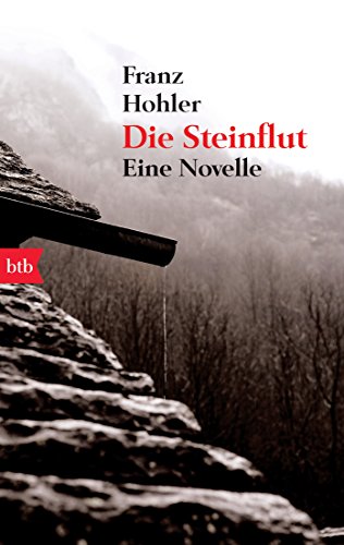 Beispielbild fr Die Steinflut: Eine Novelle zum Verkauf von WorldofBooks