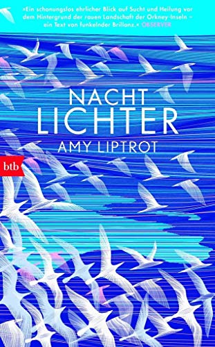 Stock image for Nachtlichter for sale by medimops