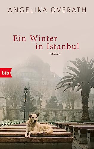 Beispielbild fr Ein Winter in Istanbul: Roman zum Verkauf von medimops