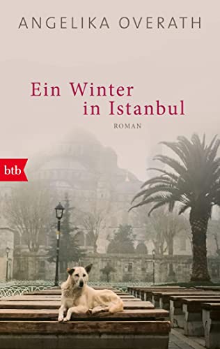 Stock image for Ein Winter in Istanbul: Roman for sale by medimops