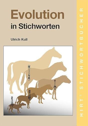 Stock image for Evolution in Stichworten for sale by medimops