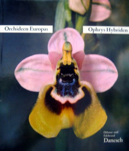 Stock image for Orchideen Europas. Ophrys Hybriden for sale by medimops