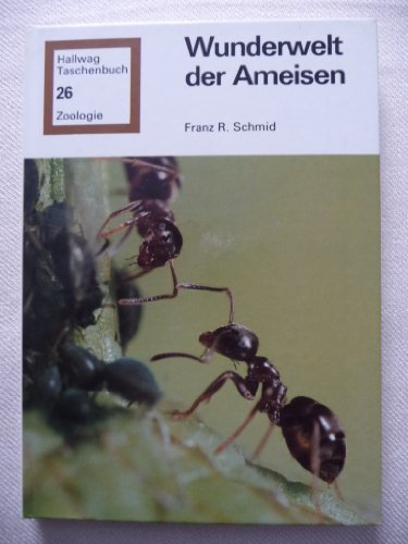 Imagen de archivo de Wunderwelt der Ameisen. a la venta por medimops