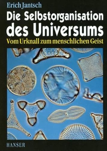 Beispielbild fr Die Selbstorganisation des Universums: Vom Urknall zum menschlichen Geist zum Verkauf von medimops