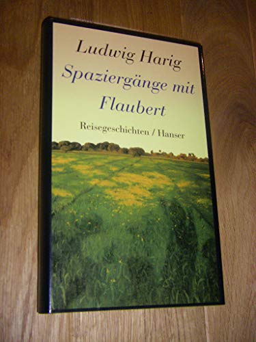 Spaziergänge mit Flaubert: Reisegeschichten (ISBN 9783658025847)