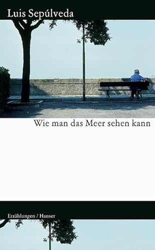 9783446202238: Wie man das Meer sehen kann