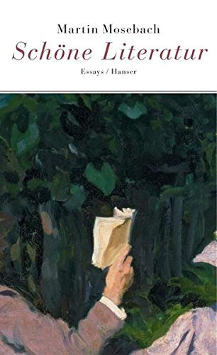 9783446207110: Schne Literatur: Essays