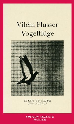 9783446230279: Vogelflge