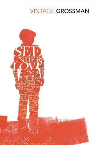 9783446255210: See Under Love by David Grossman (2010-09-02)