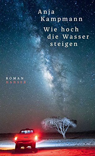 Stock image for Wie hoch die Wasser steigen: Roman for sale by medimops
