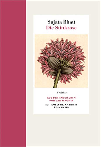 Stock image for Die Stinkrose: Gedichte. Edition Lyrik Kabinett for sale by GF Books, Inc.