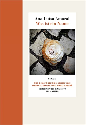 Imagen de archivo de Was ist ein Name: Gedichte. Edition Lyrik Kabinett a la venta por medimops