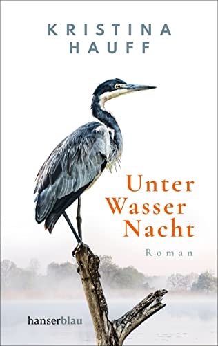 Stock image for Unter Wasser Nacht: Roman for sale by Goldstone Books