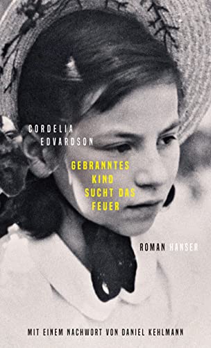 Stock image for Gebranntes Kind sucht das Feuer: Roman for sale by medimops