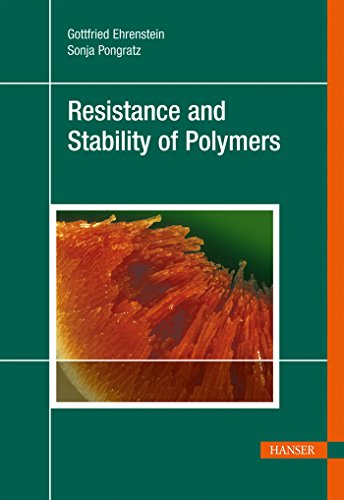 Stock image for Resistance And Stability Of Polymers for sale by Revaluation Books