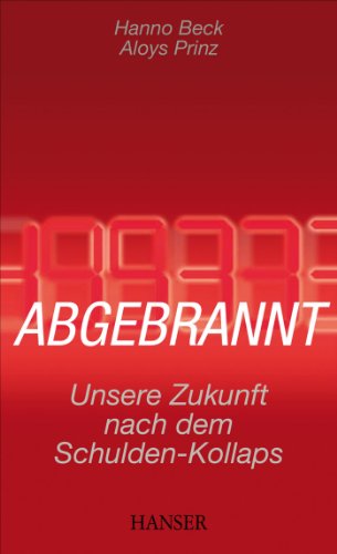 9783446426979: Abgebrannt: Unsere Zukunft nach dem Schulden-Kollaps