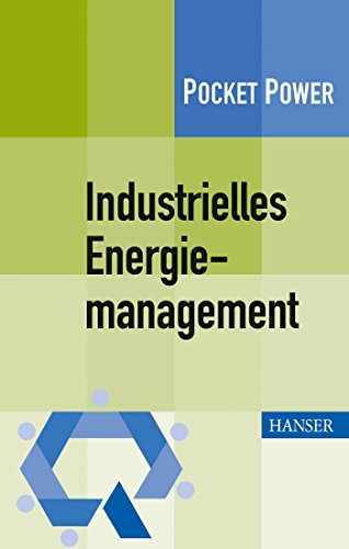 9783446437890: Industrielles Energiemanagement