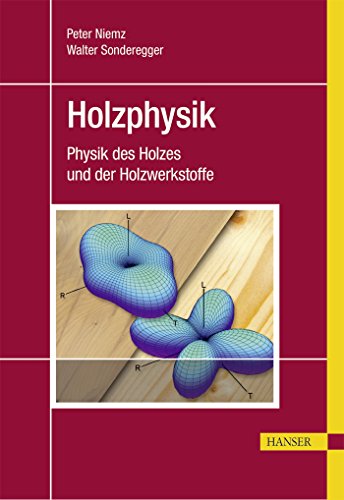 9783446445260: Holzphysik