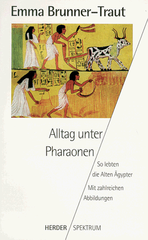 Imagen de archivo de Alltag unter Pharaonen. So lebten die Alten gypter. a la venta por medimops