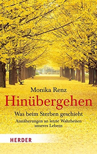 Imagen de archivo de Hinbergehen (German Edition) a la venta por Book Deals