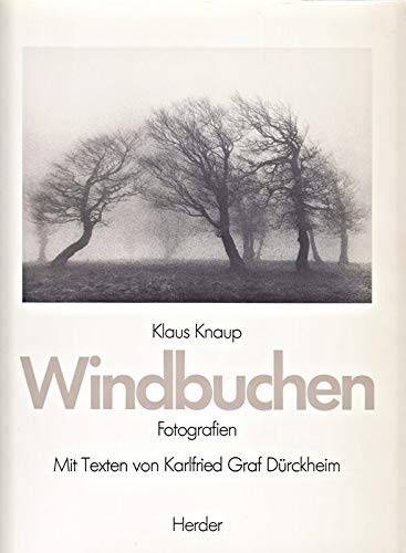 >Windbuchen<. Fotografien.