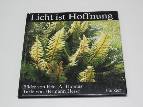 Licht ist Hoffnung