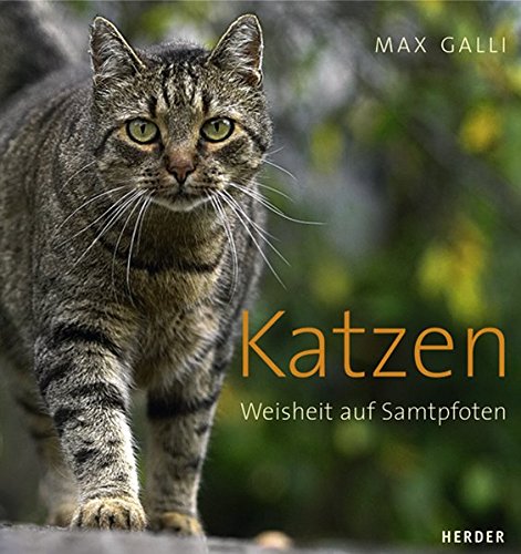 Imagen de archivo de Katzen: Weisheit auf Samtpfoten. a la venta por Auf Buchfhlung