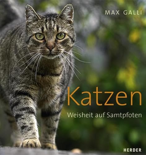 Katzen : Weisheit auf Samtpfoten. Max Galli. Hrsg. von Wolf Forster