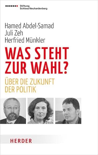 Beispielbild fr Was steht zur Wahl?: ber die Zukunft der Politik zum Verkauf von medimops