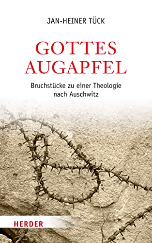 Stock image for Gottes Augapfel: Bruchstcke zu einer Theologie nach Auschwitz for sale by medimops