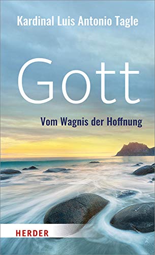 Stock image for Gott: Vom Wagnis der Hoffnung for sale by Trendbee UG (haftungsbeschrnkt)
