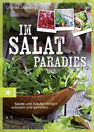 Stock image for Im Salatparadies: Salate und Kruter einfach anbauen und genieen for sale by medimops